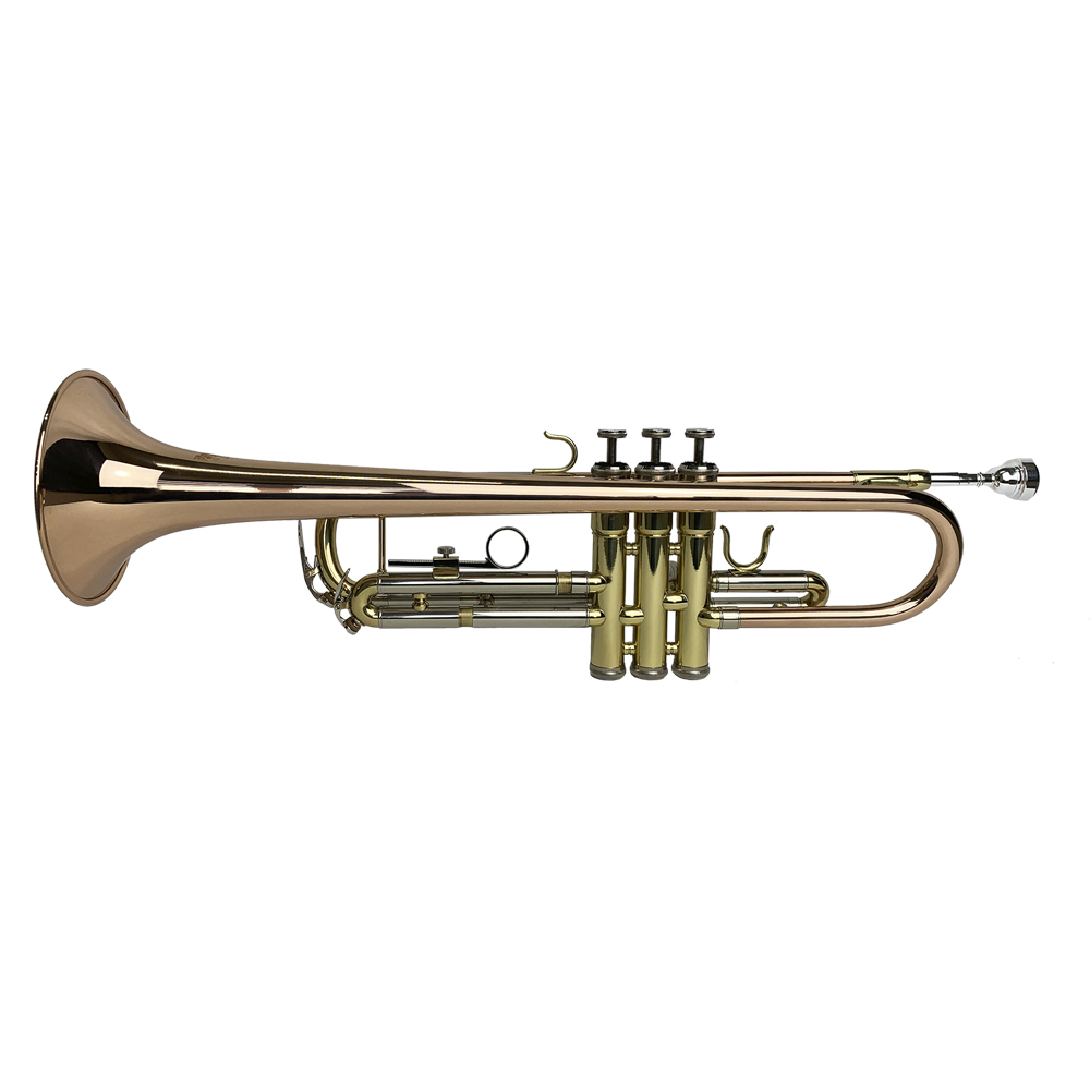 Trompeta Vivaldi YWTR-03 Tri-Color con Estuche y Accesorios