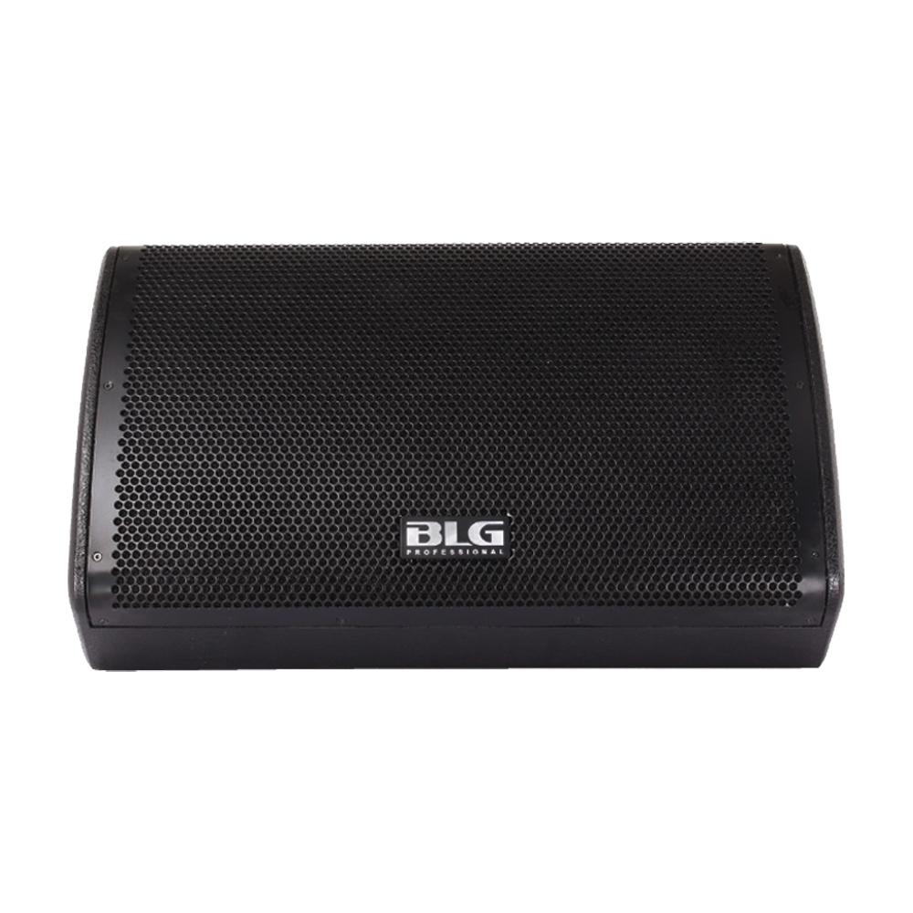 Monitor de Piso Activo BLG BM11-15A1 de Madera 15 Pulgadas 500W