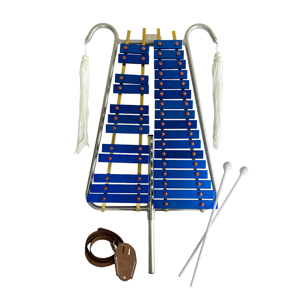 Lira de 29 Notas BOCHELI YWXY-M29-PRO7 con Accesorios